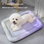 🔥LAST DAY SALE ONLY￡7.99!!❄Pawchill™🇬🇧Pet Cooling Mat for Dogs & Cats 🐾  Naturally Cool Ice-Silk Pad • Breathable, Washable & Soft 🌿  For Floors, Sofas & Car Travel • Multiple Sizes • Gradient Colours ☀️🐶🐱