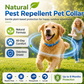⏰LIMITED TIME 50% OFF!🔥 Natural Essential Oil Pet Pest Repellent Collar - Adjustable Fit & Lightweight