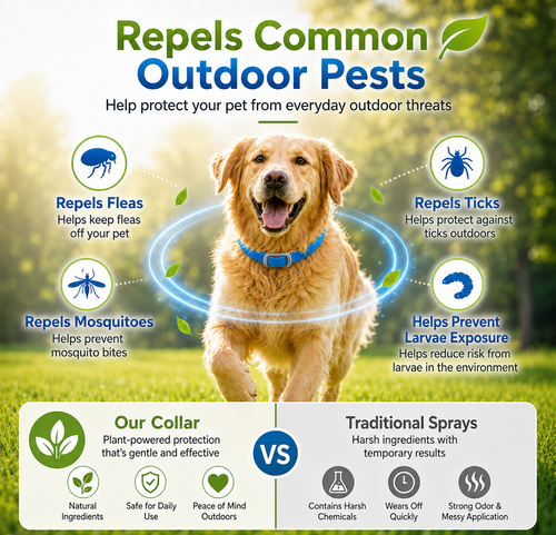 ⏰LIMITED TIME 50% OFF!🔥 Natural Essential Oil Pet Pest Repellent Collar - Adjustable Fit & Lightweight