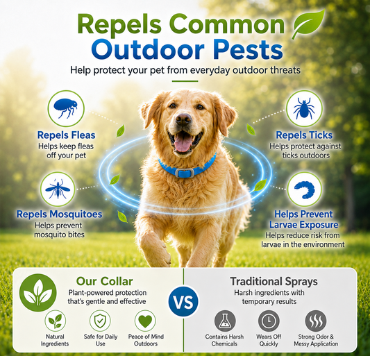 ⏰LIMITED TIME 50% OFF!🔥 Natural Essential Oil Pet Pest Repellent Collar - Adjustable Fit & Lightweight