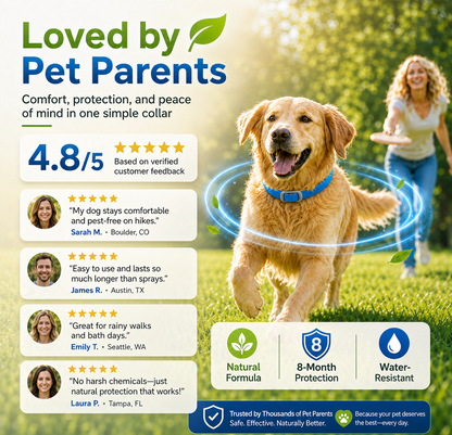 ⏰LIMITED TIME 50% OFF!🔥 Natural Essential Oil Pet Pest Repellent Collar - Adjustable Fit & Lightweight
