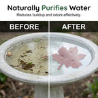 ⏳Time-Limited Special⏰Universal Fit Bird Bath Purifier