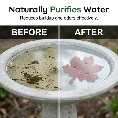 ⏳Time-Limited Special⏰Universal Fit Bird Bath Purifier