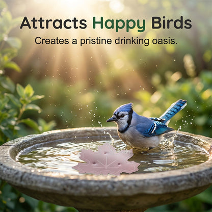 ⏳Time-Limited Special⏰Universal Fit Bird Bath Purifier