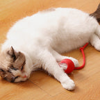Smart Automatic Rolling Pet Ball