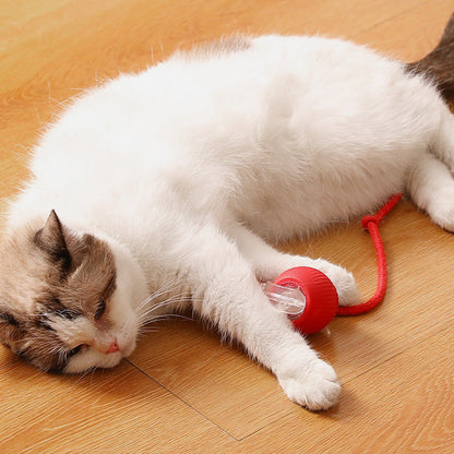 Smart Automatic Rolling Pet Ball