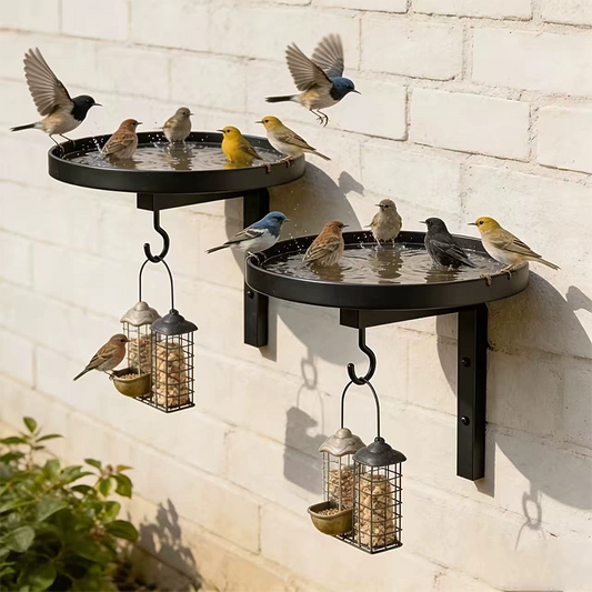 🕊New Arrivals – 50% Off For A Limited Time🎉Wall-Mounted Metal Bird Bath Basin